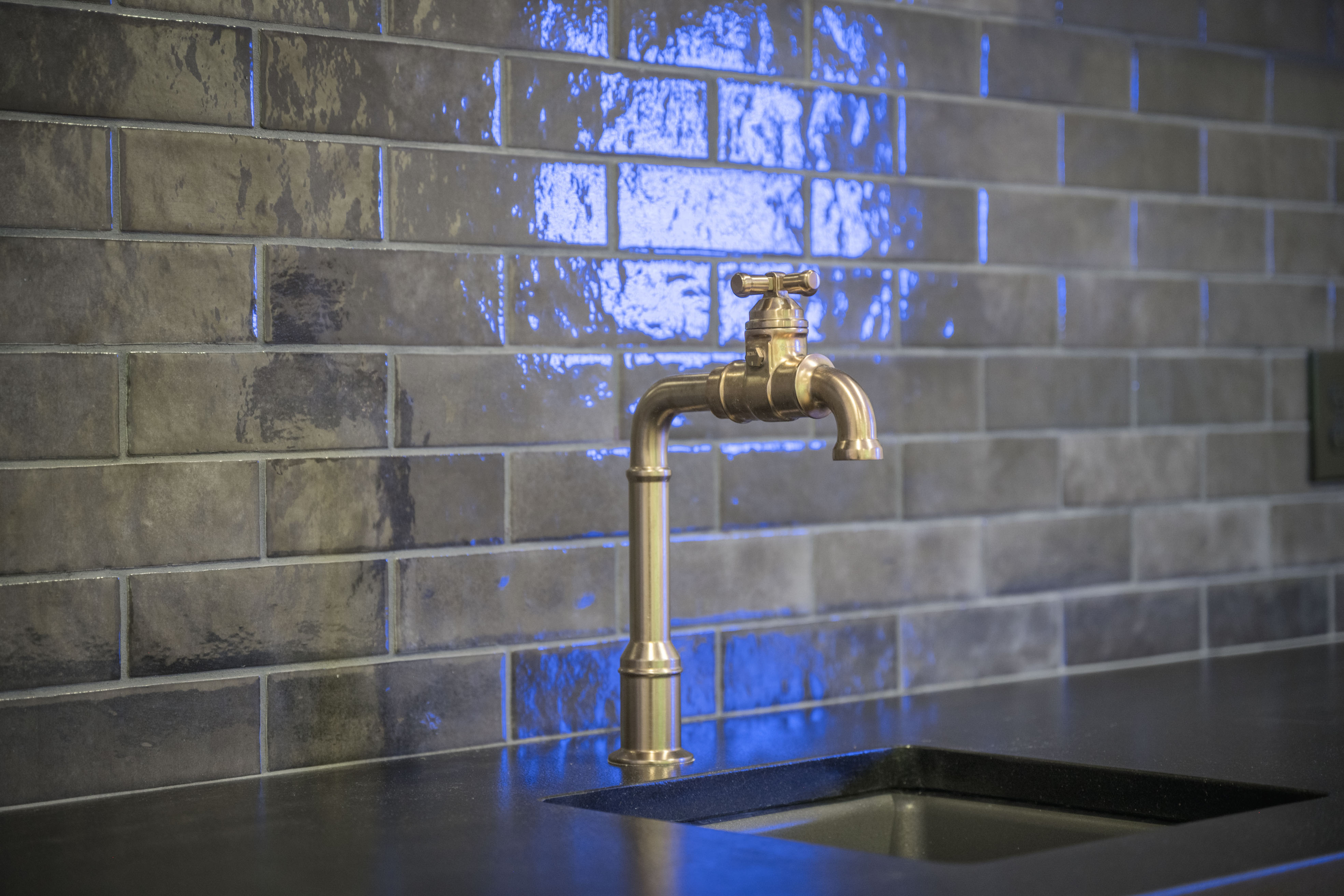 1041 Holt's Ferry image 37